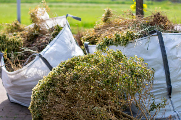 Best Dumpster Rental Services  in Monroe, NC